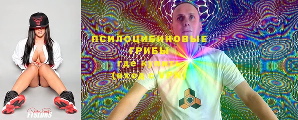 гидропоника Покровск