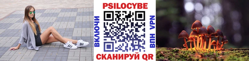 Псилоцибиновые грибы Psilocybine cubensis  Кумертау 